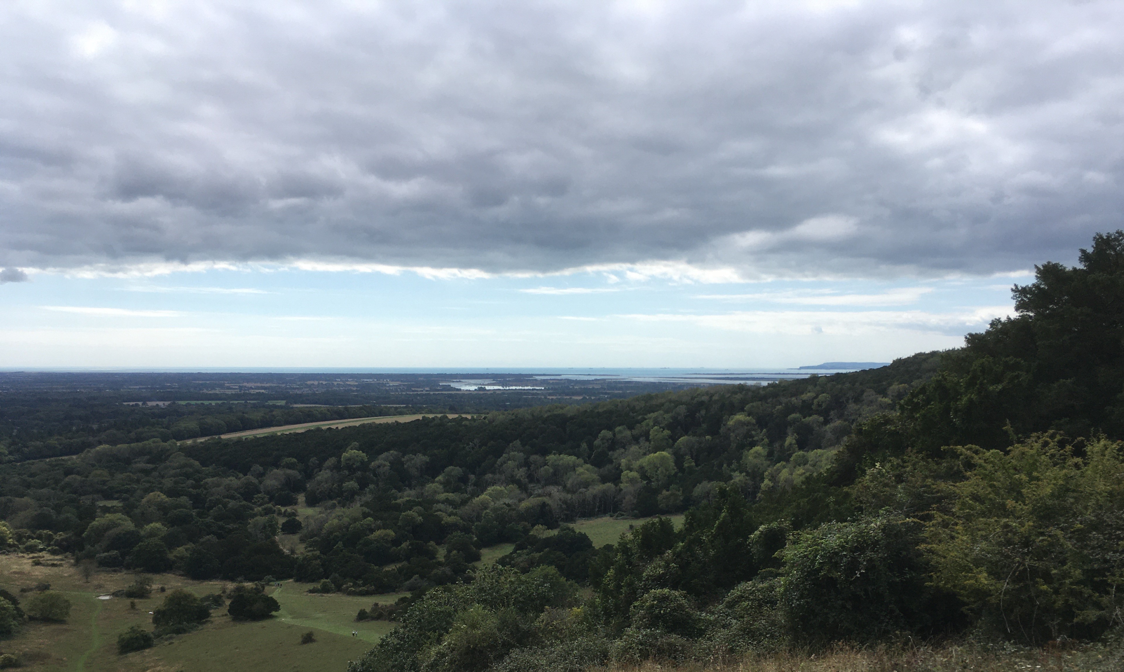 Harting Down, Kingley Vale & The Old Admiralty Semaphore Line
