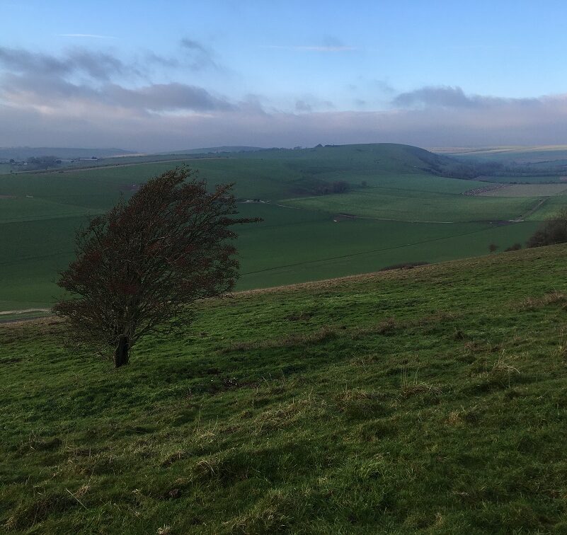 Findon, Clapham Woods & The Long Furlong